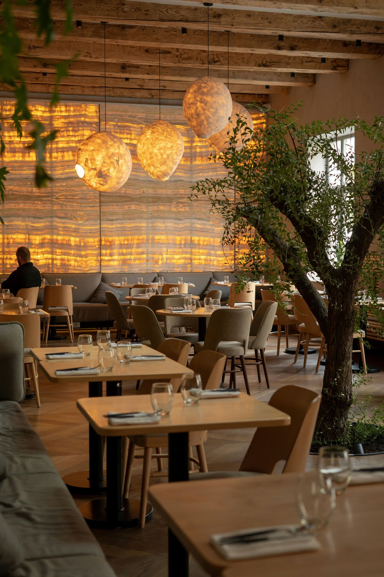 Restaurant with a glowing onyx wall and an indoor tree
