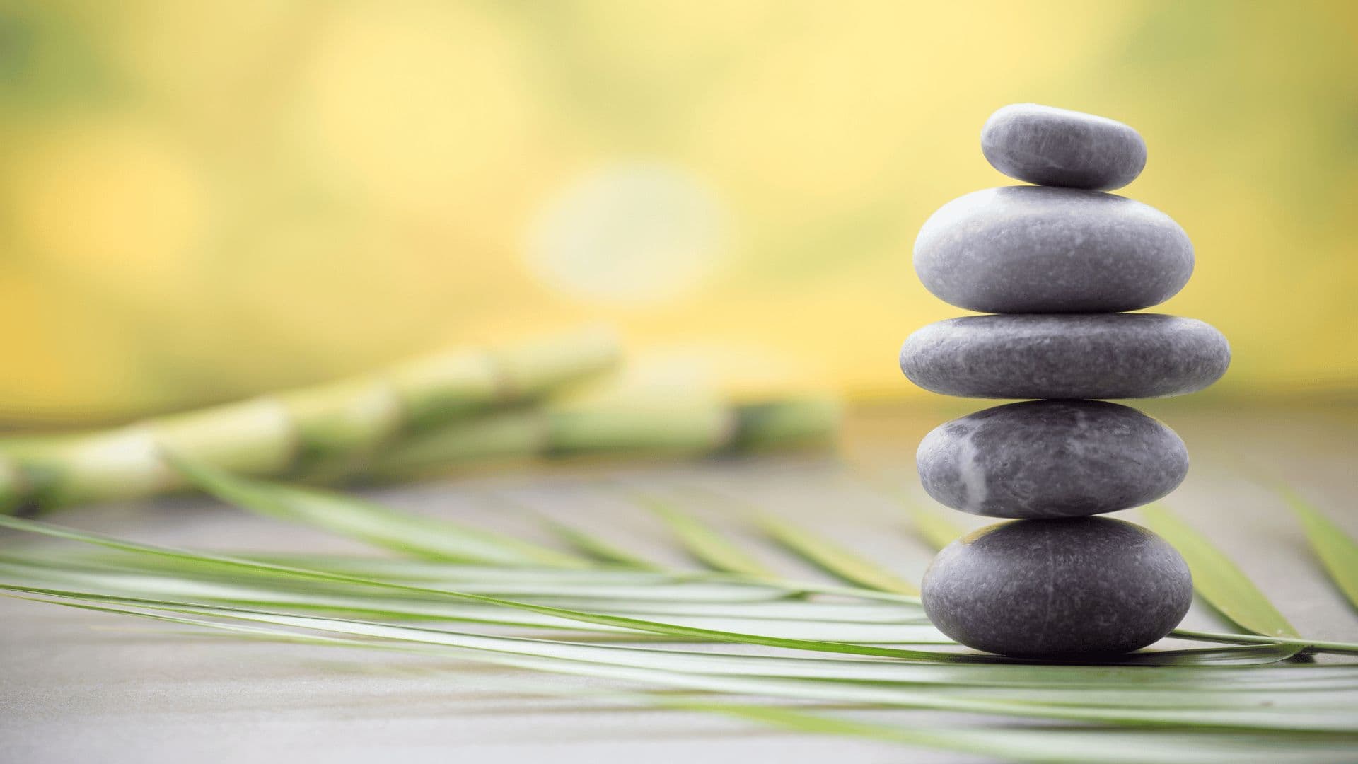 Stacked wellness stones on palm leaves
