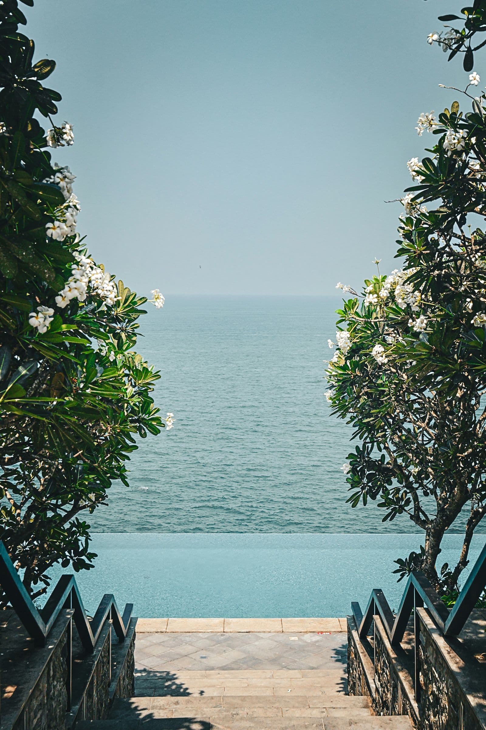 Looking through trees to a calm sea